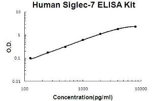 Human Siglec-7/CD328 PicoKine ELISA Kit standard curve (SIGLEC7 ELISA Kit)