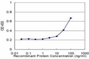 Detection limit for recombinant GST tagged GRIN2B is approximately 3ng/ml as a capture antibody. (GRIN2B antibody  (AA 127-236))