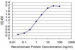 Detection limit for recombinant GST tagged T is approximately 0. (T Brachyury Protein (AA 222-320) antibody)