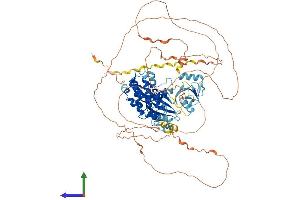 Protein Structure (PS) image for Doublecortin-Like Kinase 3 (DCLK3) (AA 1-790) protein (His tag) (ABIN7558969)
