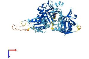 AlphaFold protein structure predicition of Mouse Recombinant Gtpbp2 Protein, UniprotID Q3UJK4 (GTPBP2 Protein (AA 1-602) (His tag))