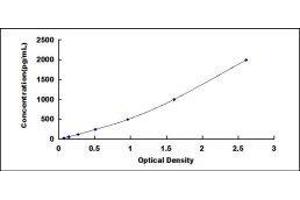 Typical standard curve (HPSE ELISA Kit)