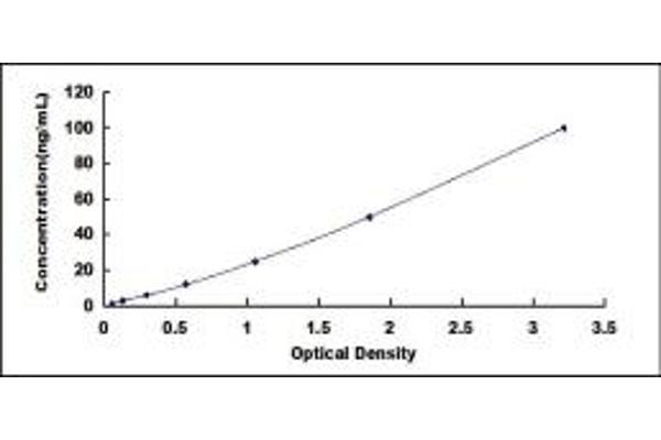 TLR6 ELISA Kit