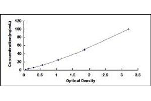 Typical standard curve (TLR6 ELISA Kit)
