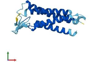 AlphaFold protein structure predicition of Human Recombinant EMP1 Protein, UniprotID P54849 (EMP1 Protein (AA 1-157) (His tag))