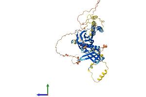 Protein Structure (PS) image for Rhotekin (RTKN) (AA 1-563) protein (His tag) (ABIN7551633)