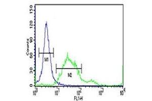 PROX1 antibody flow cytometric analysis of 293 cells (right histogram) compared to a negative control (left histogram). (PROX1 antibody  (AA 492-520))