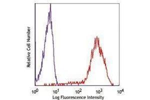 Flow Cytometry (FACS) image for anti-CD81 (CD81) antibody (ABIN2664835) (CD81 antibody)