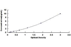 VSNL1 ELISA Kit