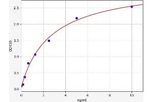 GSTT1 ELISA Kit