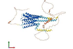 AlphaFold protein structure predicition of Human Recombinant CHRM3 Protein, UniprotID P20309