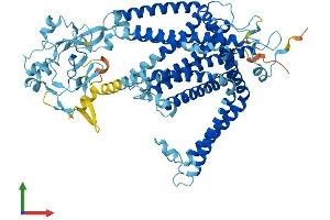 AlphaFold protein structure predicition of Human Recombinant SLC44A2 Protein, UniprotID Q8IWA5