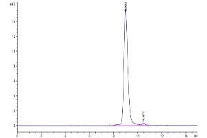 The purity of Mouse IL-9 is greater than 95 % as determined by SEC-HPLC. (IL-9 Protein (AA 19-144) (His tag))