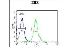 RTKN2 Antibody (N-term) (ABIN652002 and ABIN2840491) flow cytometric analysis of 293 cells (right histogram) compared to a negative control cell (left histogram).