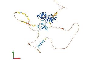 AlphaFold protein structure predicition of Mouse Recombinant Stac2 Protein, UniprotID Q8R1B0 (STAC2 Protein (AA 1-408) (His tag))