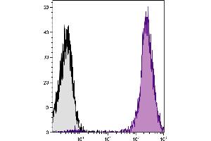 Human peripheral blood lymphocytes were stained with Mouse Anti-Human CD45-PE/CY5. (CD45 antibody  (SPRD))