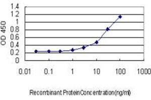Detection limit for recombinant GST tagged FOXF2 is approximately 0. (FOXF2 antibody  (AA 346-443))