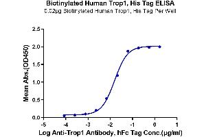 ELISA image for Epithelial Cell Adhesion Molecule (EPCAM) (AA 24-265) protein (His-Avi Tag,Biotin) (ABIN7274031)