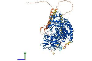 AlphaFold protein structure predicition of Mouse Recombinant Mgat5b Protein, UniprotID Q765H6