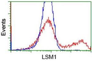 HEK293T cells transfected with either RC200288 overexpress plasmid (Red) or empty vector control plasmid (Blue) were immunostained by anti-LSM1 antibody (ABIN2454726), and then analyzed by flow cytometry. (LSM1 antibody  (AA 1-133))