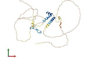 AlphaFold protein structure predicition of Human Recombinant C4orf17 Protein, UniprotID Q53FE4 (C4ORF17 Protein (AA 1-359) (His tag))