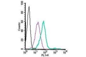 Cell surface detection GPR120/FFAR4 in live intact human THP-1 monocytic leukemia cells: (black line) Cells. (O3FAR1 antibody  (Extracellular) (FITC))