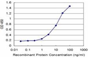 Detection limit for recombinant GST tagged ESD is approximately 1ng/ml as a capture antibody. (Esterase D antibody  (AA 183-281))