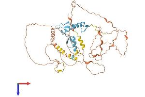 Kruppel-Like Factor 10 (KLF10) (AA 1-480) protein (His tag)