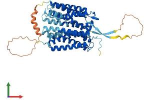 AlphaFold protein structure predicition of Mouse Recombinant Slc52a3 Protein, UniprotID Q9D6X5