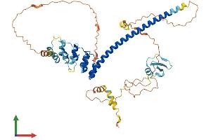 AlphaFold protein structure predicition of Mouse Recombinant Ankrd53 Protein, UniprotID Q3V0J4 (ANKRD53 Protein (AA 1-497) (His tag))