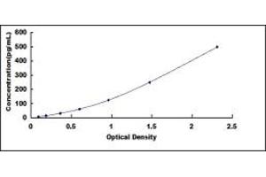 Typical standard curve (FGF6 ELISA Kit)