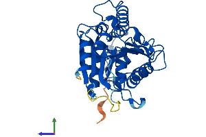 Protein Structure (PS) image for Arylformamidase (AFMID) (AA 1-305) protein (His tag) (ABIN7559571)