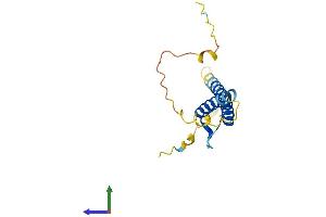 AlphaFold protein structure predicition of Human Recombinant ATOH7 Protein, UniprotID Q8N100