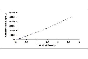 Typical standard curve (CIRBP ELISA Kit)