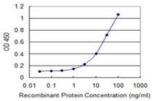 Detection limit for recombinant GST tagged CECR1 is 0. (CECR1 antibody  (AA 402-511))