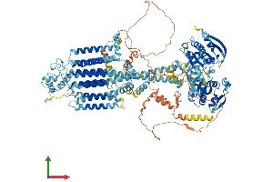 AlphaFold protein structure predicition of Human Recombinant ADCY5 Protein, UniprotID O95622