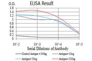 Black line: Control Antigen (100 ng),Purple line: Antigen (10 ng), Blue line: Antigen (50 ng), Red line:Antigen (100 ng) (CFHR5 antibody  (AA 344-569))