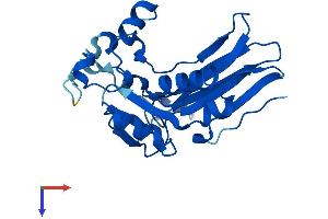 gamma-Glutamyltransferase Light Chain 1 (GGTLC1) (AA 1-225) protein (His tag)