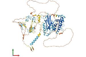 AlphaFold protein structure predicition of Mouse Recombinant Dzank1 Protein, UniprotID Q8C008
