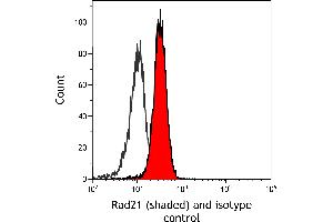 Flow Cytometry (FACS) image for anti-RAD21 Homolog (RAD21) (C-Term) antibody (ABIN7795620) (Recombinant RAD21 antibody  (C-Term))