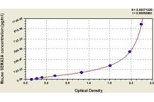 ELISA image for Sema Domain, Immunoglobulin Domain (Ig), Short Basic Domain, Secreted, (Semaphorin) 3A (SEMA3A) ELISA Kit (ABIN6974829)