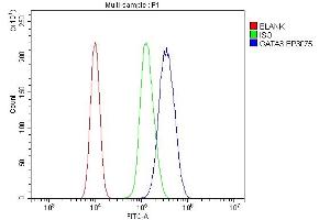Flow Cytometry analysis of 293T cells using anti-GATA3 antibody (ABIN7603171).