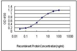 ELISA image for anti-Crystallin, mu (CRYM) (AA 215-315) antibody (ABIN614593) (CRYM antibody  (AA 215-315))