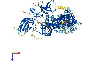 AlphaFold protein structure predicition of Human Recombinant RASA4B Protein, UniprotID C9J798 (RASA4B Protein (AA 1-803) (His tag))