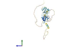 AlphaFold protein structure predicition of Mouse Recombinant Dcx Protein, UniprotID O88809 (Doublecortin Protein (DCX) (AA 1-366) (His tag))