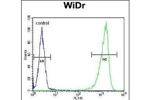 Flow Cytometry (FACS) image for anti-Glucuronidase, beta (GUSB) (AA 335-362) antibody (ABIN653297)