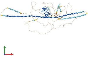 AlphaFold protein structure predicition of Human Recombinant FKBP15 Protein, UniprotID Q5T1M5