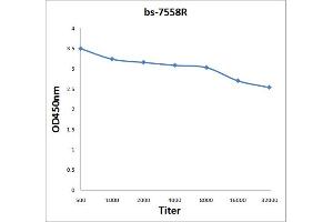 Antigen: 2 µg/100 µL  Primary: Antiserum, 1:500, 1:1000, 1:2000, 1:4000, 1:8000, 1:16000, 1:32000;  Secondary: HRP conjugated Rabbit Anti-Goat IgG at 1: 5000;  TMB staining Read the data in Microplate Reader by 450nm. (RAB35 antibody  (AA 131-201))