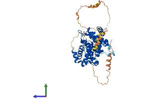 AlphaFold protein structure predicition of Human Recombinant CCNB1 Protein, UniprotID P14635 (Cyclin B1 Protein (CCNB1) (AA 1-433) (His tag))