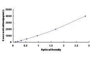 Thyroid Hormone Receptor, alpha (THRA) ELISA Kit